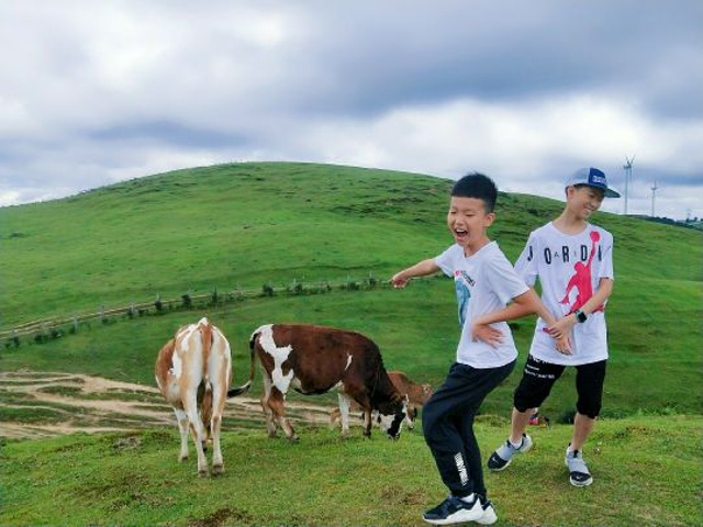 "离广东最近的高山大草原_郴州"的评论图片