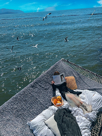 "大理🌊我找到了离海鸥最近的海边民宿！_大理璞素设计师海景度假酒店"的评论图片