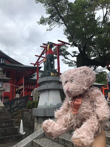 "热闹的不像神社的神社_伏见稻荷大社"的评论图片