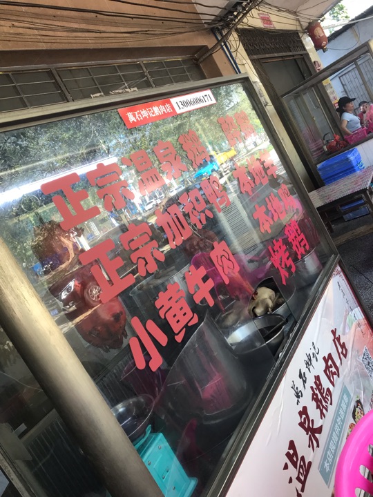 坤记温泉鹅肉店