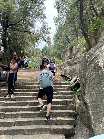 "斗母宫是泰山景区中最为幽静的所在。坐这考虑了20分钟，决定还是网上爬吧。凉风习习，让人不忍挪步_斗母宫"的评论图片