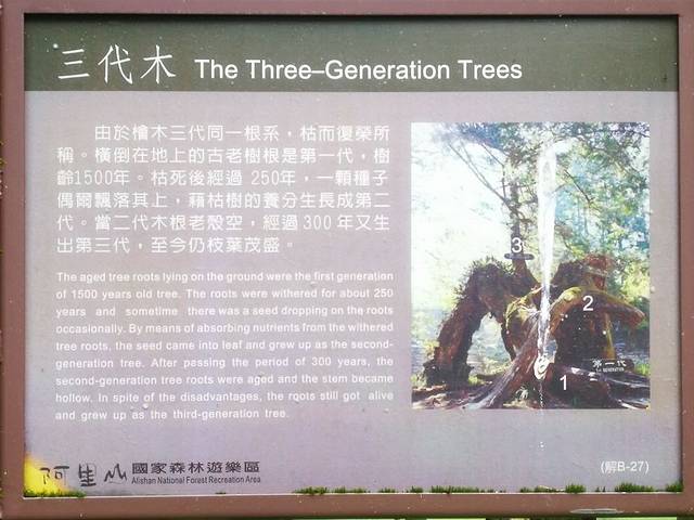 三代木(櫻木花道)