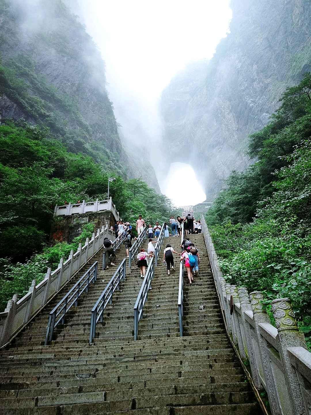 2022天门山国家森林公园游玩攻略,总之,天门山是一个很值得游...【去哪儿攻略】