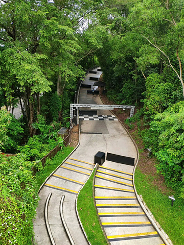 "_新加坡天际线斜坡滑车"的评论图片