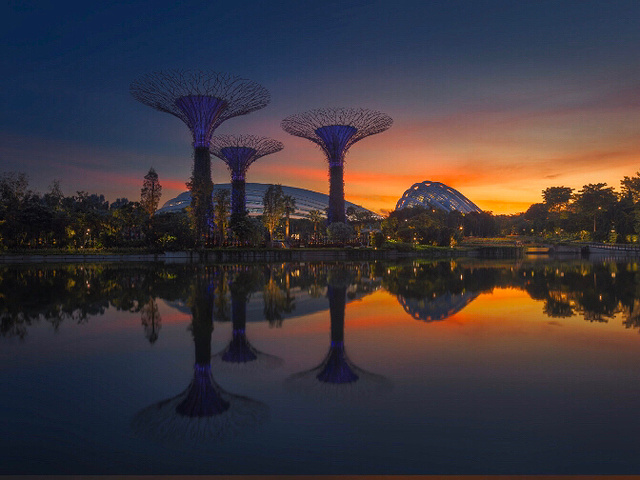 "新加坡·滨海湾花园 游玩+拍照攻略 📷_新加坡滨海湾花园"的评论图片