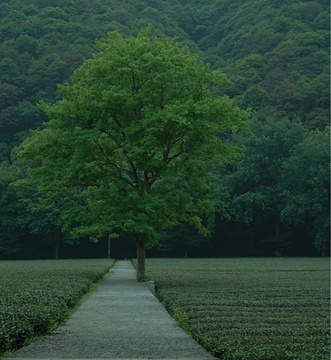 岩骨花香漫游道