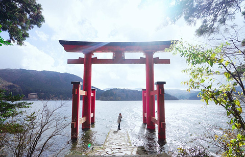 箱根神社旅游景点攻略图