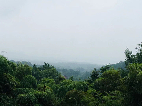 永福禅寺旅游景点图片