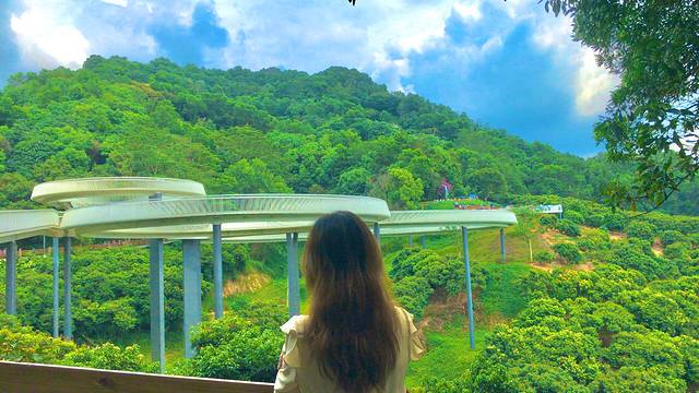 大顶岭山林公园