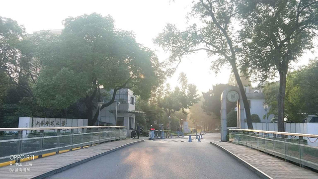 上海师范大学旅游景点图片