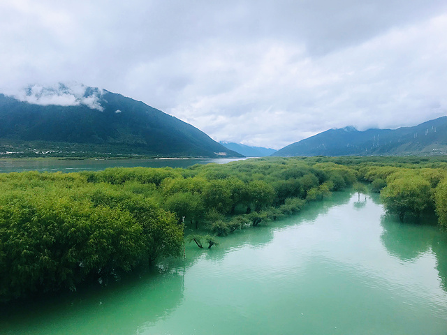 "我们是来看风景的。雅鲁藏布江和尼洋河的交汇处，行程了二种颜色的河水_苯日景区"的评论图片