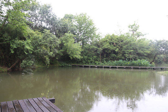 西溪湿地公园旅游景点图片