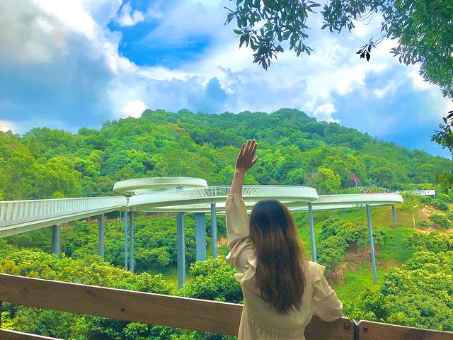 大顶岭山林公园