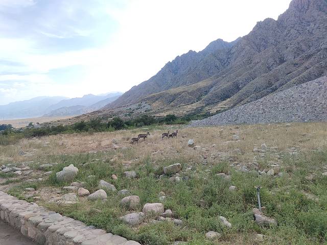 银川韩美林艺术馆