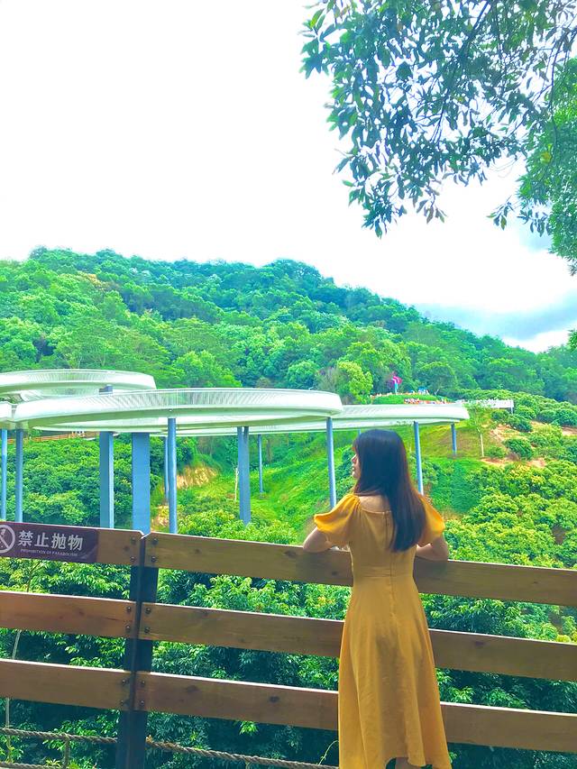 大顶岭山林公园