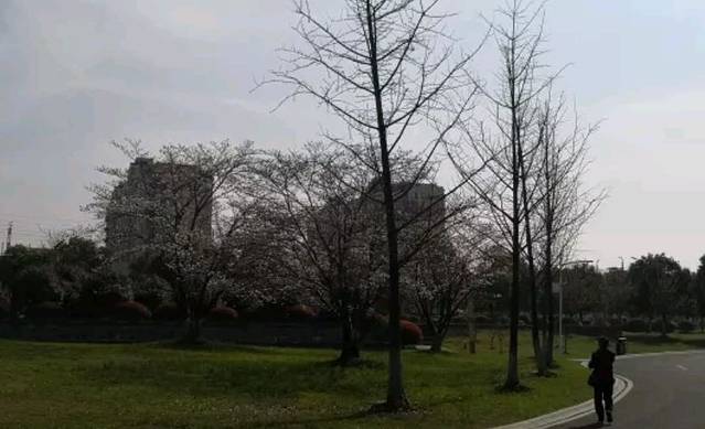 康缘医药科技园