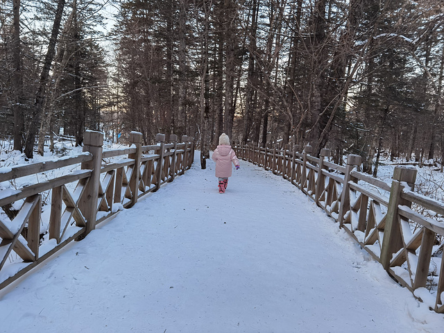 "雪地里徒步，要比平地累好多，妞全程都是自己走，太棒棒了！小屁妞，在这雪地里，开心的像一只小鸟_老里克湖"的评论图片