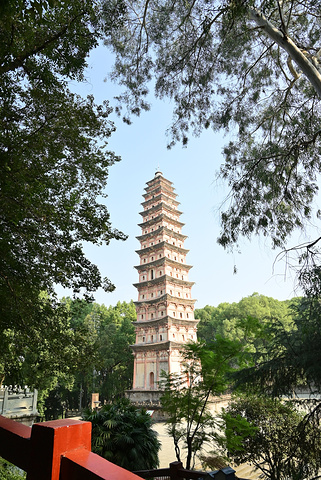 "_鹤鸣山景区"的评论图片