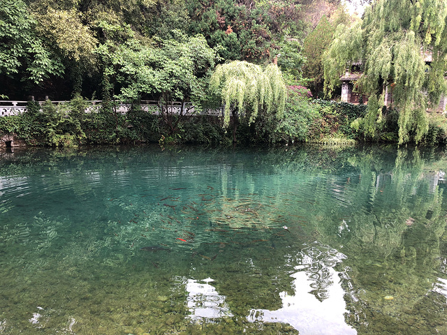 " 茶马古道博物馆，有门票才能进去，我们没找到卖票的地方，干脆不去了，反正也没多大兴趣……。超开心_茶马古道博物馆"的评论图片