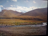 新疆旅游景点攻略图片