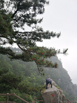 庐山花径旅游景点攻略图