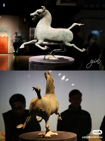 "去兰州看看中国旅游的标志吧_甘肃省博物馆"的评论图片