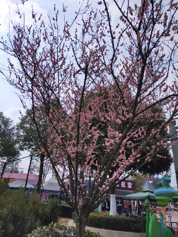 凉山红军长征纪念馆