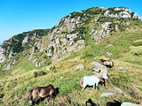 大嵛山岛旅游景点攻略图片