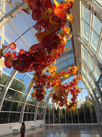 "参观画廊、千变万化的花园和标志性的玻璃屋，艺术家戴尔·奇胡利 (Dale Chihuly) 的..._奇胡利玻璃艺术园"的评论图片