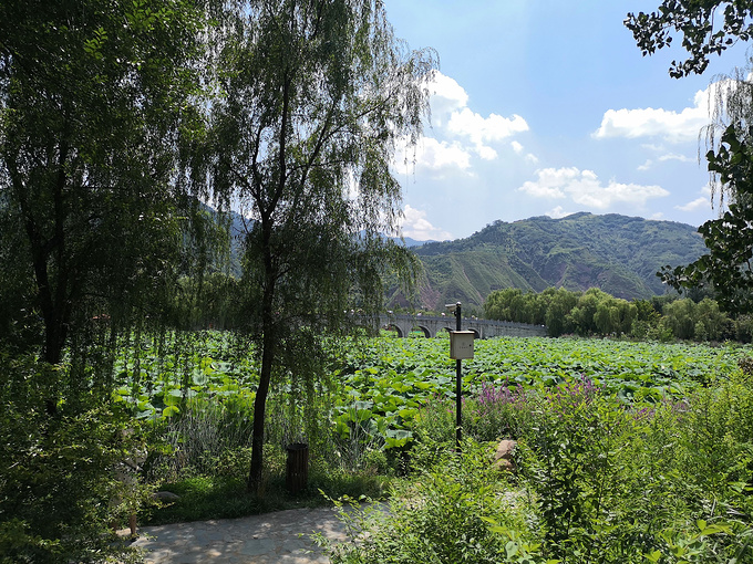 2日遊-丹鳳旅遊攻略-遊記-去哪兒攻略