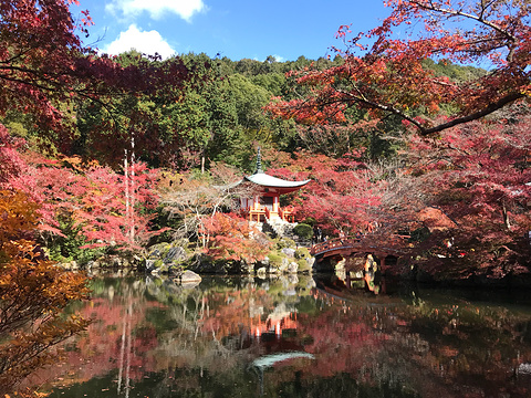 醍醐寺