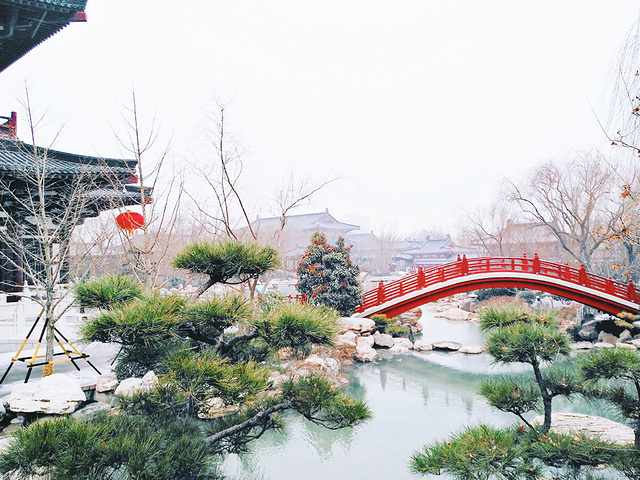 "沽酒长安 宿雪伴眠❄️——雪中的小众西安_西安鼓楼"的评论图片