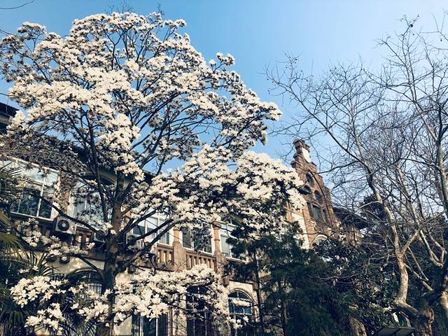 中国海洋大学(鱼山校区)