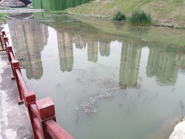 "_那考河湿地公园"的评论图片