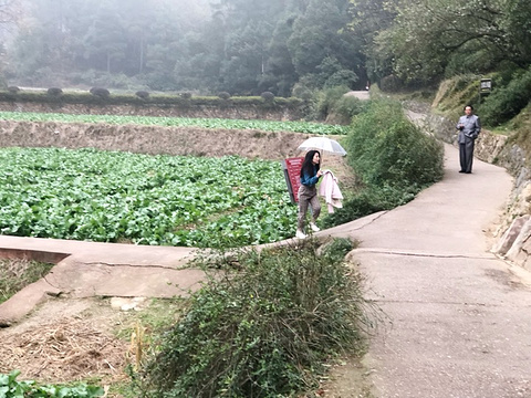 毛泽东故居旅游景点攻略图