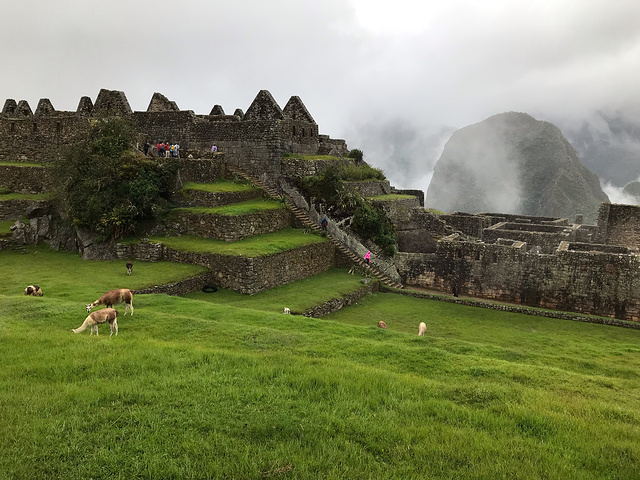 "随后盘山路蜿蜒而上，来到遗址。加上下雨天，雨大的时候，路面上的雨水流成了河。烟雾缭绕着周围的山峰_马丘比丘"的评论图片