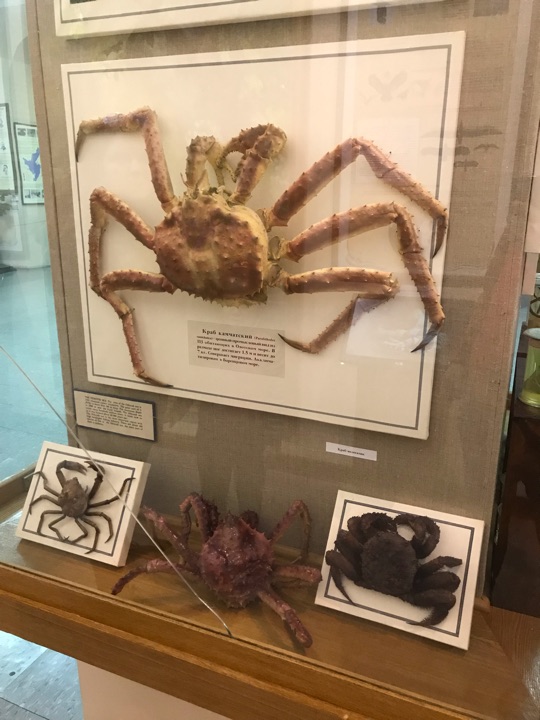 哈巴罗夫斯克考古博物馆