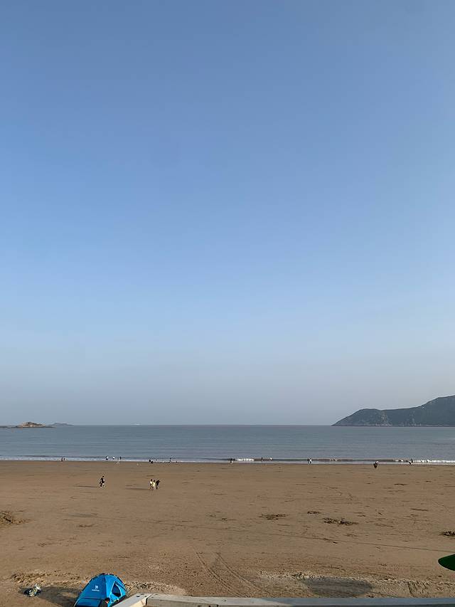 毒梳子与毒苹果