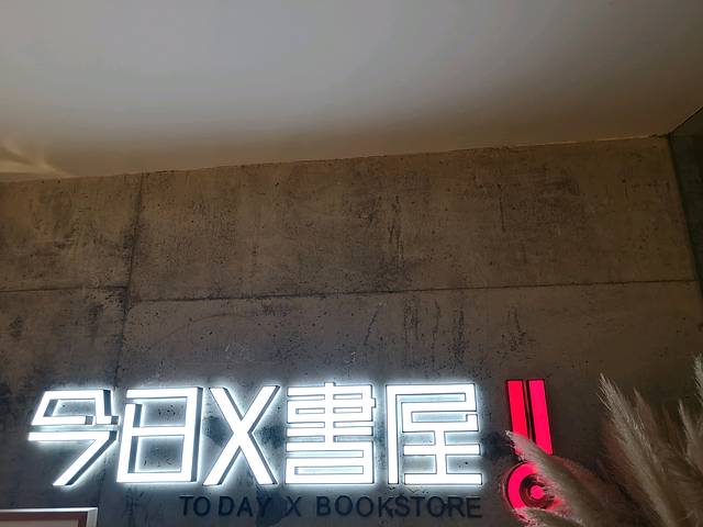 红树林电影工坊