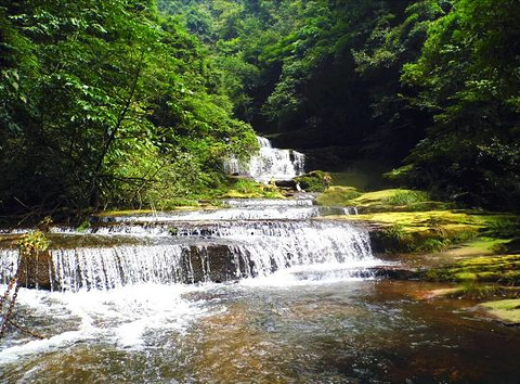 玉屏山森林度假区旅游景点攻略图