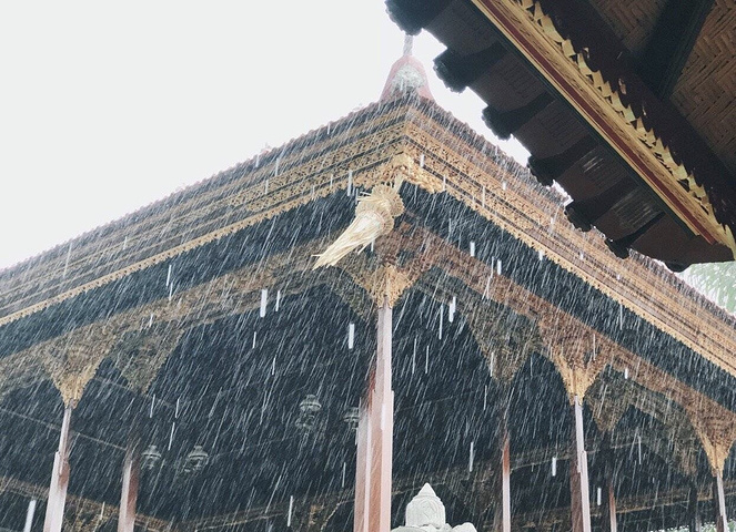 乌布游逛半天,我们打车到了寺庙,下起了雨,在寺庙里面躲雨,地上有好多