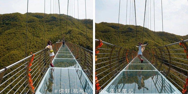 "玻璃桥单独收费，却不限风光一座观望亭，一座玻璃桥，2个小时的时间，_中国大竹海"的评论图片