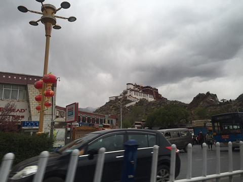西藏拉萨清真大寺旅游景点图片