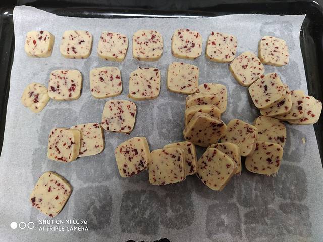 叶挺将军纪念馆