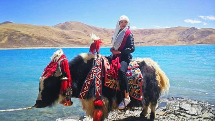 "羊卓雍措，西藏三大神湖之一，被镶嵌在天地间的绿松石_浪卡子"的评论图片