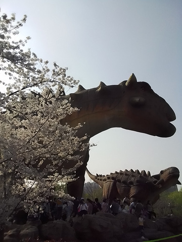 "樱花和恐龙更配哦_顾村公园"的评论图片