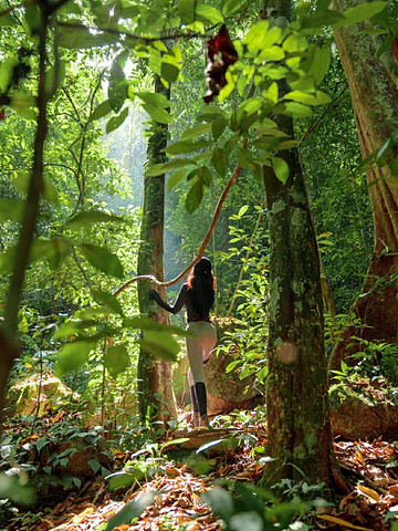 "西双版纳小众游🚶‍♀️徒步穿越🌴热带雨林_勐远仙境"的评论图片
