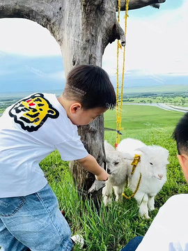 呼伦贝尔大草原旅游景点攻略图