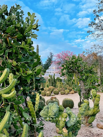 "厦门旅行|《锋味》取景地，网红植物园 _厦门园林植物园"的评论图片