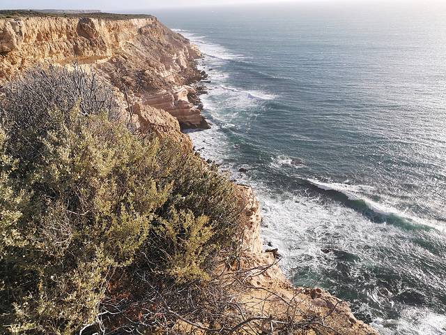 杰拉尔顿市中心海滩